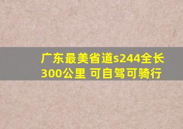 广东最美省道s244全长300公里 可自驾可骑行